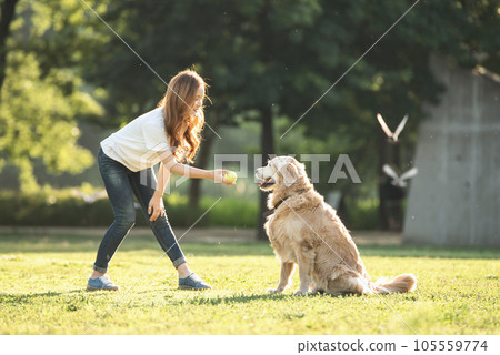 a beautiful woman playing ball with her dog in the park a beautiful woman playing ball with her dog in the park 105559774