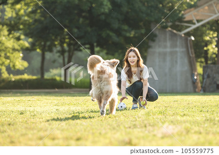 a beautiful woman playing ball with her dog in the park a beautiful woman playing ball with her dog in the park 105559775