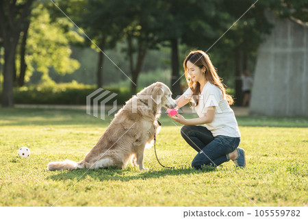 a beautiful woman playing ball with her dog in the park 105559782