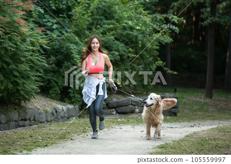 In the park, a lovely dog and a beautiful woman in sportswear are exercising together. In the park, a lovely dog and a beautiful woman in sportswear are exercising together. 105559997