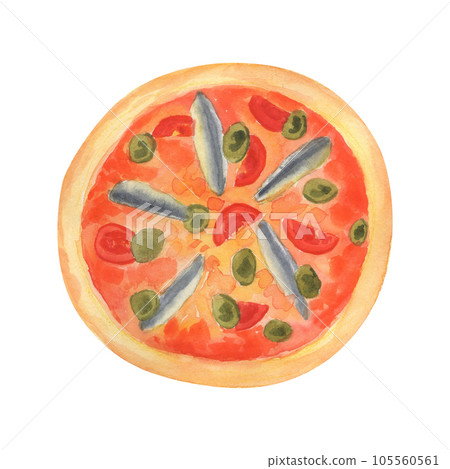 Pizza with anchovies. Watercolor hand painted illustration isolated on white Pizza with anchovies. Watercolor hand painted illustration isolated on white 105560561