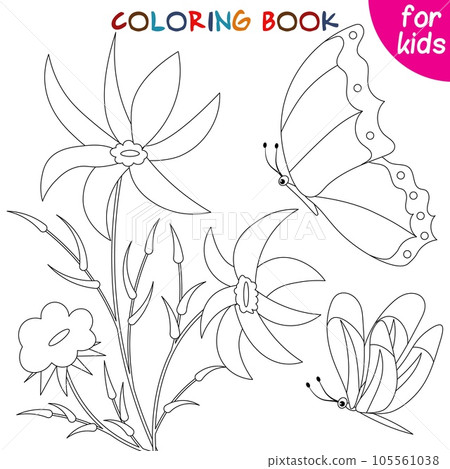 Butterflies collection. Butterflies and big flowers. Coloring book page 105561038