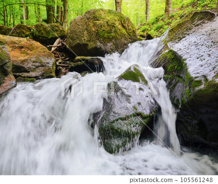 waterfall among the rocks. creek in the forest. clear water in nature concept waterfall among the rocks. creek in the forest. clear water in nature concept 105561248