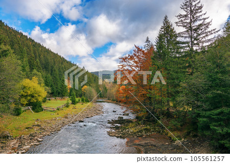 river flows through countryside valley. mountainous landscape in autumn river flows through countryside valley. mountainous landscape in autumn 105561257