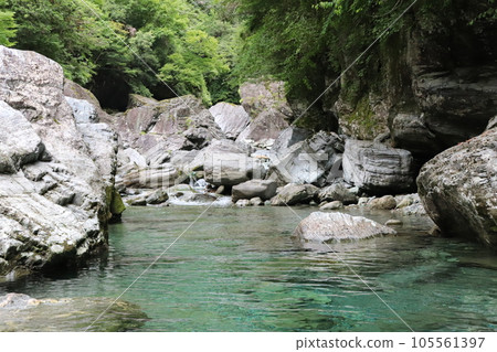 仁淀川 美麗的藍色河流 105561397
