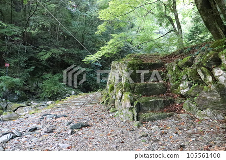 仁淀川 美麗的藍色河流 105561400