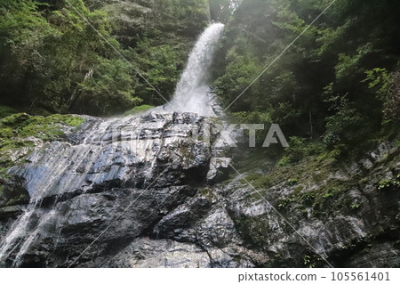 仁淀川 美麗的藍色河流 105561401