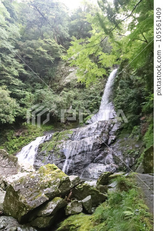 仁淀川 美麗的藍色河流 105561409