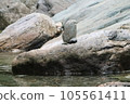 Niyodo River A beautiful blue river 105561411