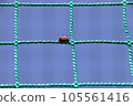 A ladybug clinging to a baseball net 105561416