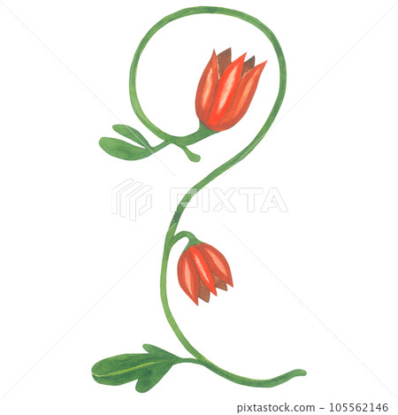 Watercolor illustration of a floral monogram in a medieval style. Made by hand isolated on transparent background 105562146