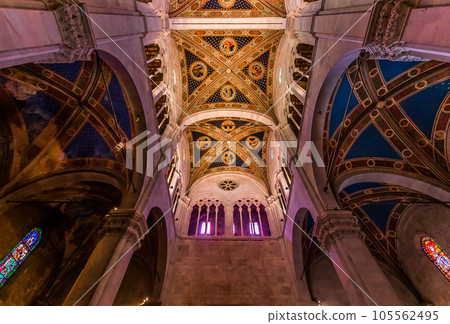 Lucca saint Martin duomo cathedral, Lucca, Italy 105562495