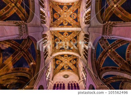 Lucca saint Martin duomo cathedral, Lucca, Italy 105562496