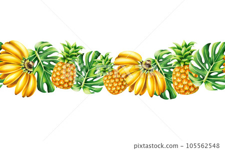 Watercolor tropical border with a bunch of bananas, pineapples and monstera leaves. Ripe fruits banner isolated on white background. For designers, spa decoration, postcards, wedding, greetings, Watercolor tropical border with a bunch of bananas, pineapples and monstera leaves. Ripe fruits banner isolated on white background. For designers, spa decoration, postcards, wedding, greetings, 105562548