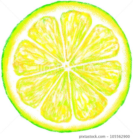 Cross section of lime Cross section of lime 105562900