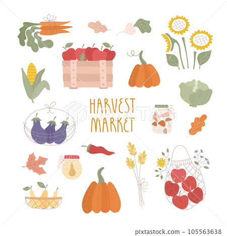 Set of fresh fruits, vegetables, baskets, farm products. Fall harvest market, cute vector illustrations, stickers. 105563638