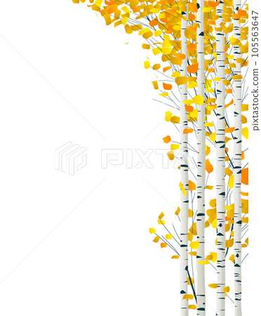 Birch forest wedding invitation template 105563647