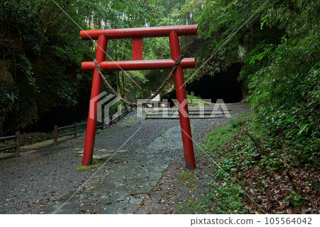 Torii in front of the entrance to Mizonokuchi Cave Torii in front of the entrance to Mizonokuchi Cave 105564042