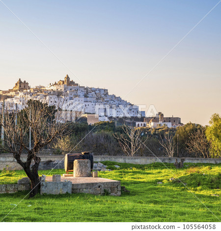 View of Ostuni old town 105564058