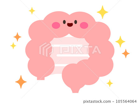簡單腸道的插圖 簡單腸道的插圖 105564064