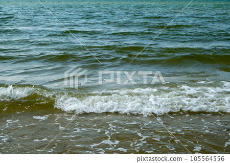 Small waves on the shore of the Baltic Sea in Latvia 105564556