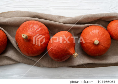 Harvest of Hokkaido Pumpkins on a White Wooden Background Harvest of Hokkaido Pumpkins on a White Wooden Background 105566063