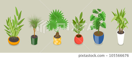 3D Isometric Flat Vector Set of Houseplants 105566676