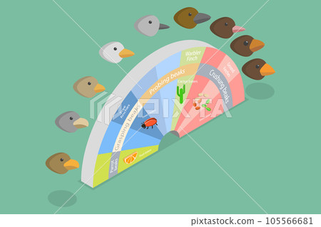 3D Isometric Flat Vector Conceptual Illustration of Adaptive Radiation 3D Isometric Flat Vector Conceptual Illustration of Adaptive Radiation 105566681