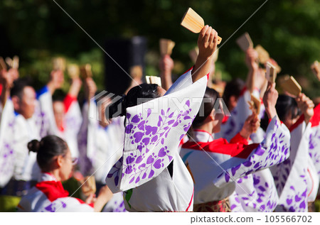 Michinoku Yosakoi Festival (Sendai City, Miyagi Prefecture) 105566702