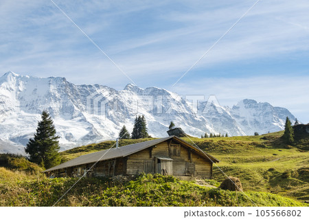 Traditional alpine village in touristic valley Lauterbrunnen, Switzerland attraction 105566802