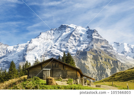 Traditional alpine village in touristic valley Lauterbrunnen, Switzerland attraction 105566803