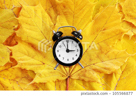 Back to school. Classic black and white alarm clock on bright yellow maple autumn leaves. Concept of change seasons, daylight saving time. Goodbye autumn. Discounts and sale. Natural background 105566877