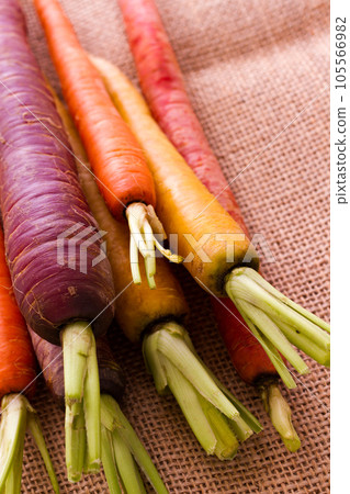 Organic rainbow carrots from the local farm. 105566982