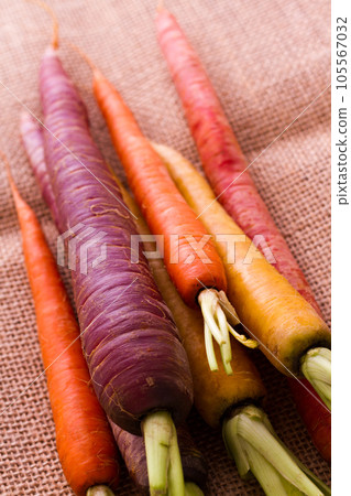 Organic rainbow carrots from the local farm. 105567032