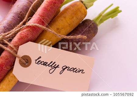 Organic rainbow carrots from the local farm. 105567092