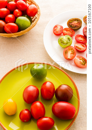 Multicolored cherry tomatoes picked from organic garden. 105567100