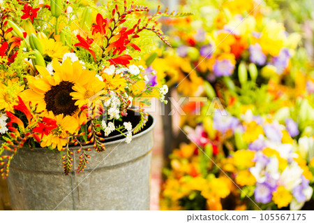 Summer flowers at the local farmer's market. Summer flowers at the local farmer's market. 105567175