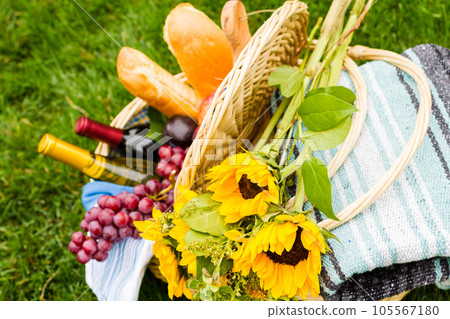Summer picnic with a basket of food in the park. 105567180