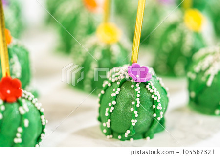 Cactus-shaped cake pops, beautifully decorated... - Stock Photo [105567321]  - PIXTA