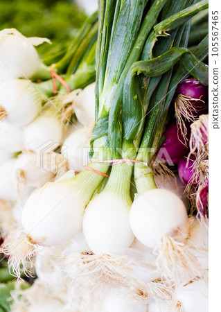Fresh onons in a large pile at the local farmer's market. 105567465