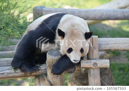 長濱在遊樂設施上放鬆 105567503