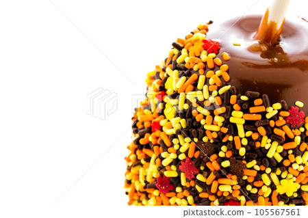 Hand dipped caramel apple covered with multi color sprinkles. Hand dipped caramel apple covered with multi color sprinkles. 105567561