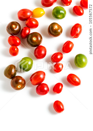 Multicolored cherry tomatoes picked from organic garden. 105567572