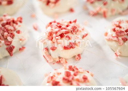 Dipping chocolate cookies into the melted white chocolate to prepare peppermint white chocolate cookies. Dipping chocolate cookies into the melted white chocolate to prepare peppermint white chocolate cookies. 105567604