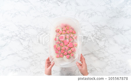 Flat lay. Storing heart-shaped sugar cookies with pink and white royal icing in a large plastic container. 105567878
