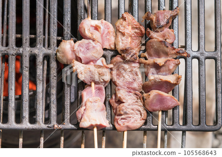 [Solo camping at an auto campsite Grilling yakitori tongue, hearts, and gizzards over an open fire] 105568643