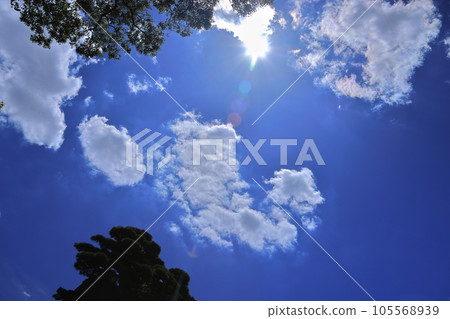 嚴肅的雲（樹）-06 105568939