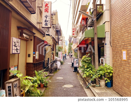 Back alley of Ningyocho Back alley of Ningyocho 105568995