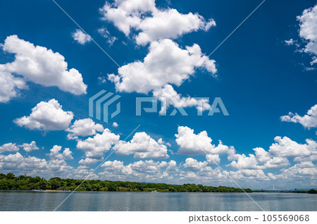 Cotton clouds floating in the sky of Yodo River 105569068