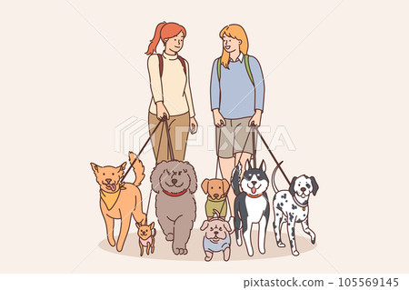 Two girls walk dogs on leashes in park and communicate enjoying spending time with animals 105569145